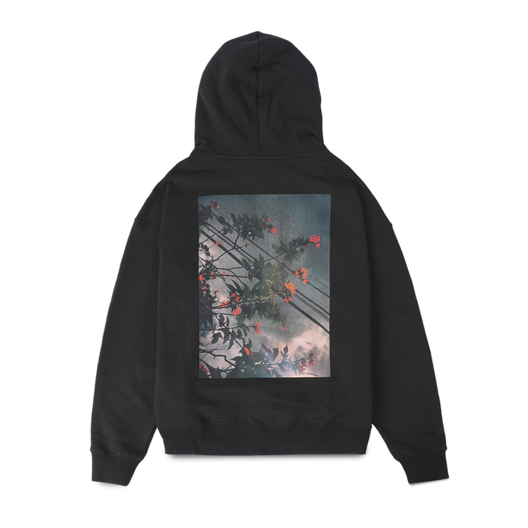 FOG Essentials Photo Series Hoodie