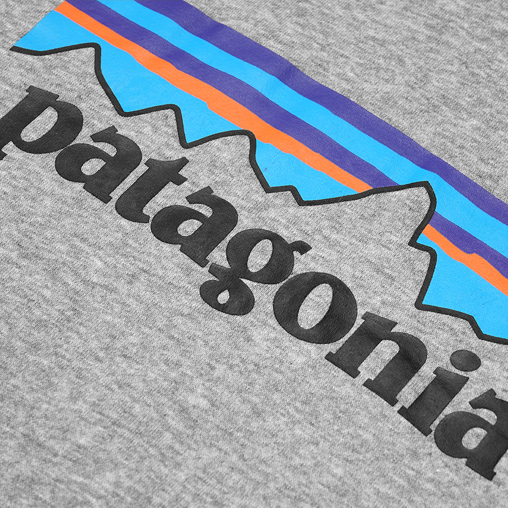 PTG P-6 Logo Uprisal Hoodie Grey