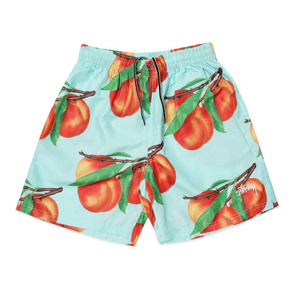 Stussy Pattern Water Shorts