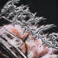 Hellstar Rugby Skull T-Shirt