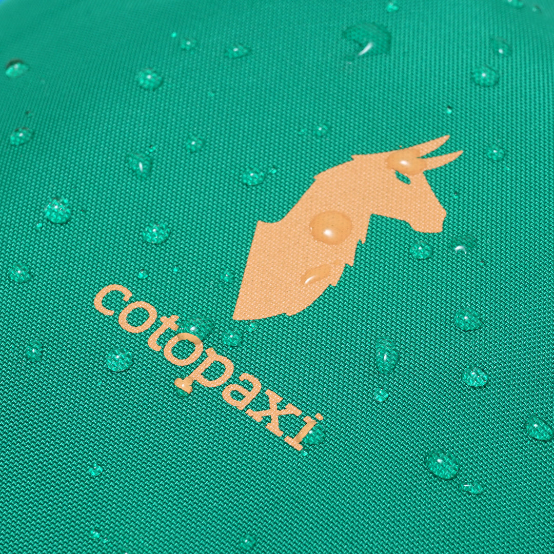 Cotopaxi Dimi 12L Mini Backpack