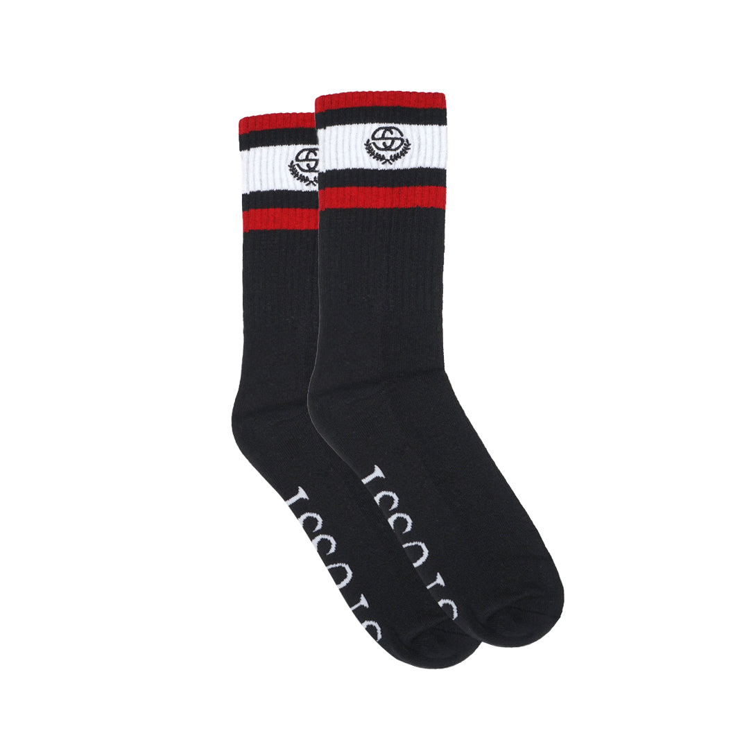 Stussy Bicolor Stripes SS Logo Crew Socks