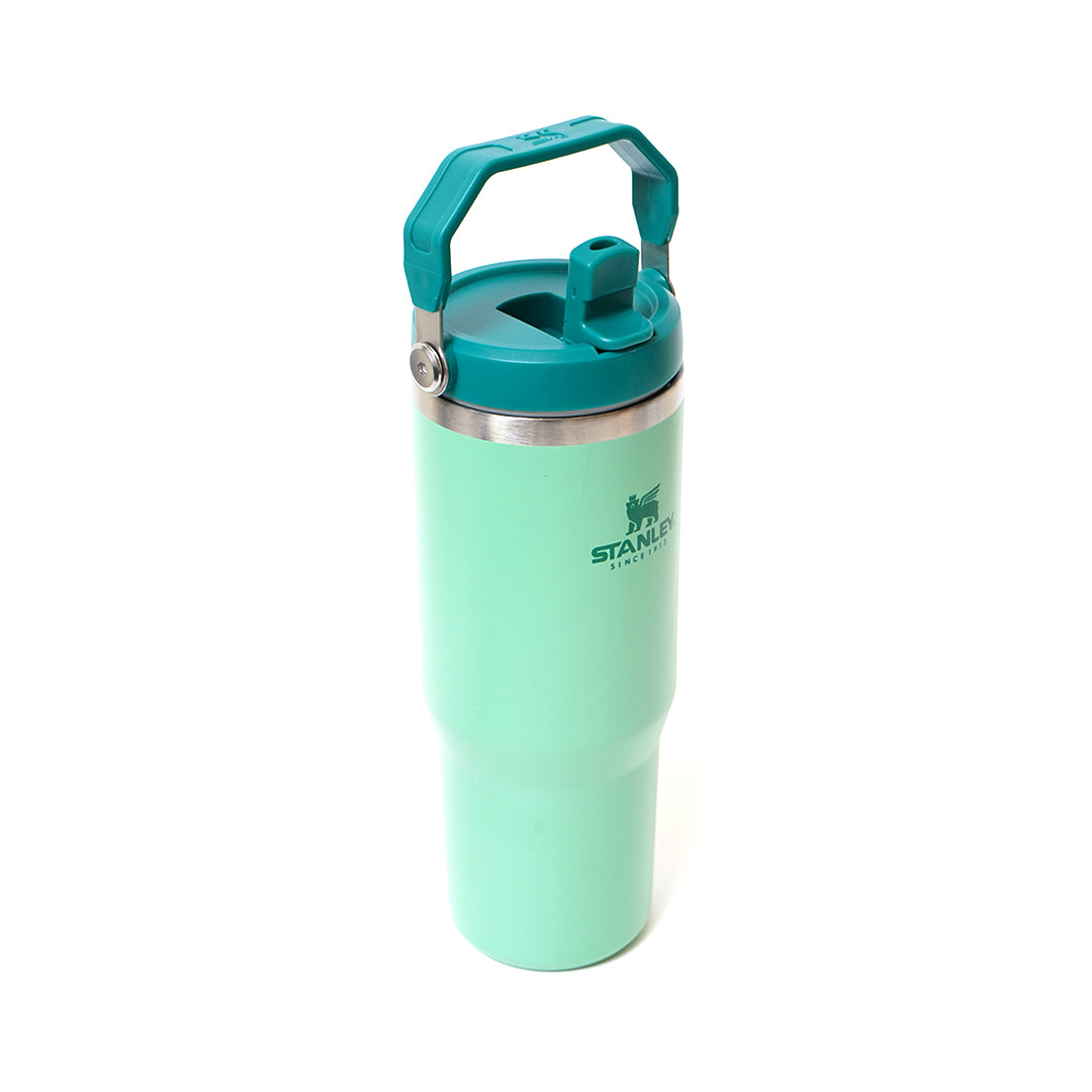 STLY Heat Wave Iceflow Flip Straw Tumbler