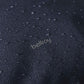 BLRY Logo Via Solid Backpack