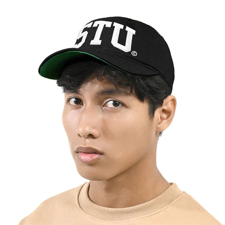 Stussy Stu Arch Strapback Cap