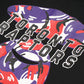 AAPE X NBA Toronto Raptor Sweatshirt